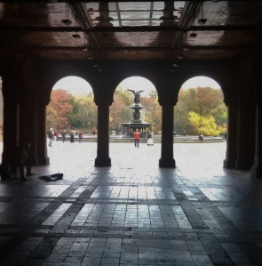 Bethesda, Central Park, NYC -- David Kitz