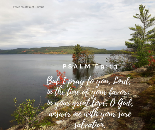 Psalm 69-13