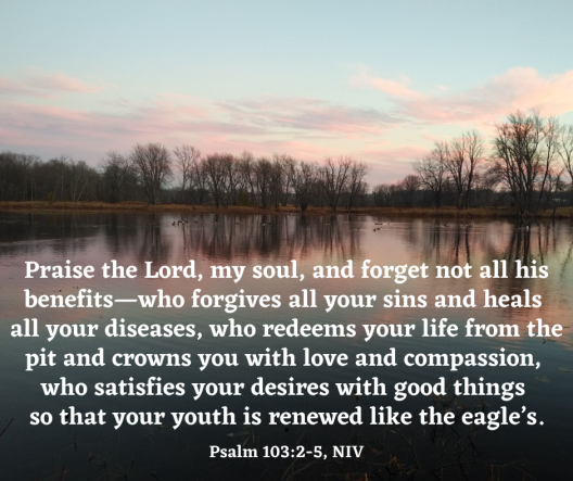 Psalm 103_2-5