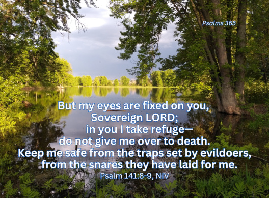 Psalm 141_8-9